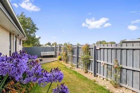 Photo of property in 20a Princes Street, Netherby, Ashburton, 7700