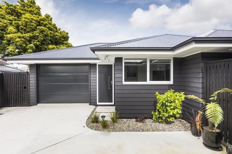 Photo of property in 17c Alfred Street, Roslyn, Palmerston North, 4414