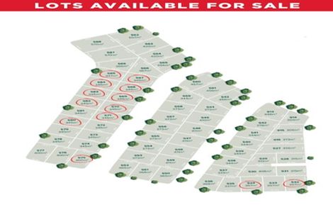 Photo of property in 7 Wagyu Lane, Karaka, 2580