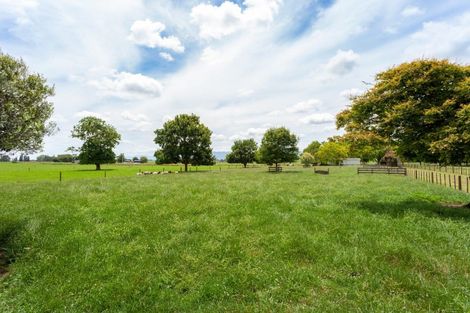 Photo of property in 322 Mangawhero Road, Matamata, 3473