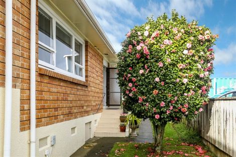 Photo of property in 264a Courtenay Street, Strandon, New Plymouth, 4312