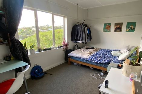 Photo of property in 6 Semeloff Terrace, Aro Valley, Wellington, 6021
