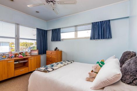 Photo of property in 133 Cockburn Street, Kuripuni, Masterton, 5810