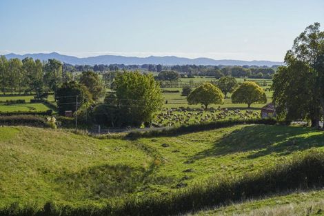 Photo of property in 48 Morrison Road, Taneatua, 3123