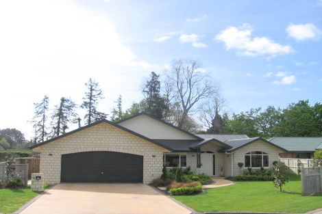 Photo of property in 18 Maple Place, Morrinsville, 3300