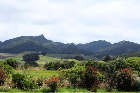 Photo of property in 56 Te Ahiawa Road, Raglan, 3297