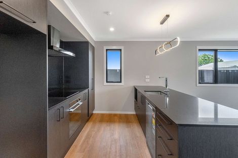 Photo of property in 107a Racecourse Road, Allenton, 7700