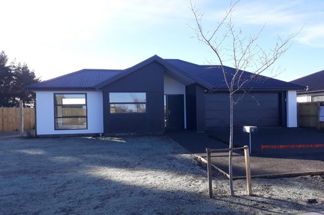 Photo of property in 41 William Nicholls Drive, Belfast, Christchurch, 8051