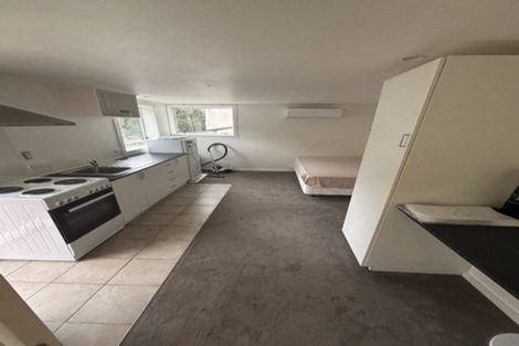 Photo of property in 164a Hanson Street, Newtown, Wellington, 6021