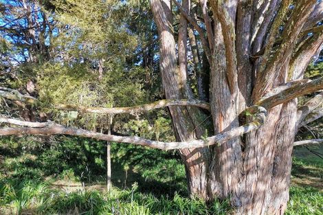 Photo of property in 356 Te Tio Road, Umawera, Okaihau, 0476