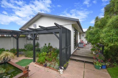 Photo of property in 8 Dame Street, Waikouaiti, 9510