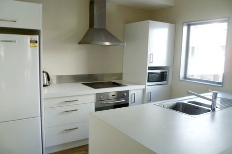 Photo of property in 3 Papawai Terrace, Mount Cook, Wellington, 6021