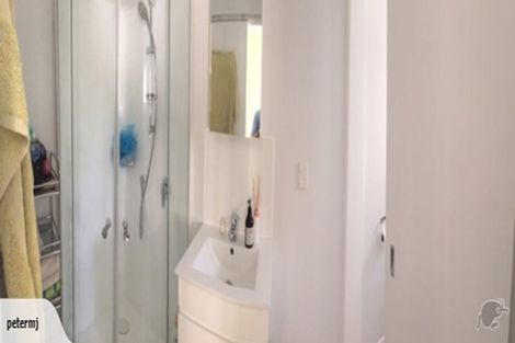 Photo of property in 28 Macdonald Crescent, Te Aro, Wellington, 6011