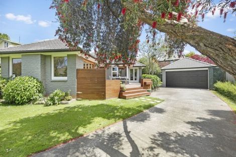 Photo of property in 8 Trist Place, Edgeware, Christchurch, 8013