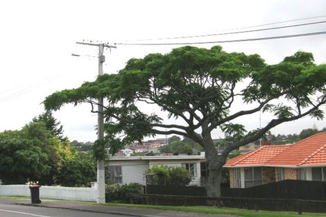 Photo of property in 2 Griffen Park Road, Mount Roskill, Auckland, 1041