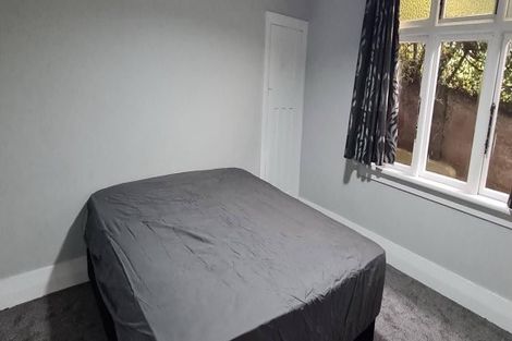 Photo of property in 519 South Road, Calton Hill, Dunedin, 9012