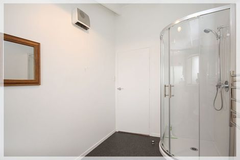 Photo of property in 133 Tiro Tiro Road, Levin, 5510
