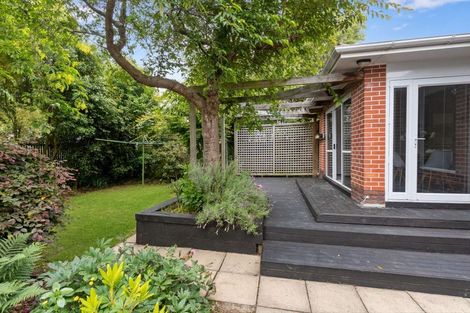 Photo of property in 49 Shirley Road, Shirley, Christchurch, 8013