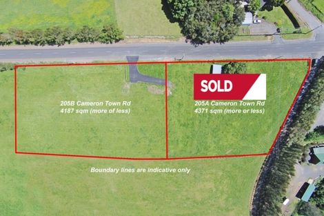 Photo of property in 205b Cameron Town Road, Pukekohe, 2678