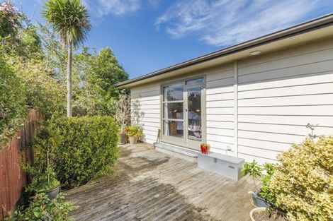 Photo of property in 38 Winston Avenue, Hokowhitu, Palmerston North, 4410