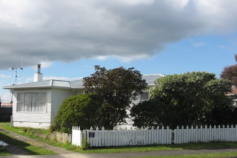 Photo of property in 3 Braemar Street, Levin, 5510