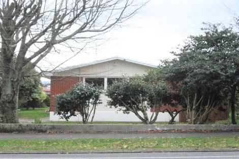 Photo of property in 295 Clarkin Road, Fairfield, Hamilton, 3214
