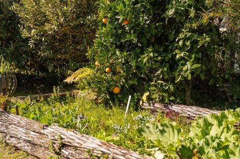 Photo of property in 360 Main Sh25 Road, Tairua, 3508