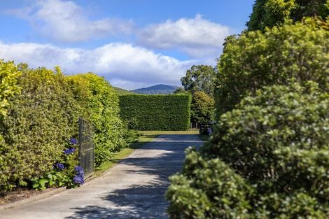 Photo of property in 38 Pohutukawa Drive, Levin, 5571