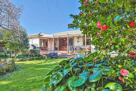 Photo of property in 519 Nottingley Road, Frimley, Hastings, 4120