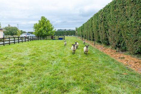 Photo of property in 54 Longbeach Road, Willowby, Ashburton, 7773