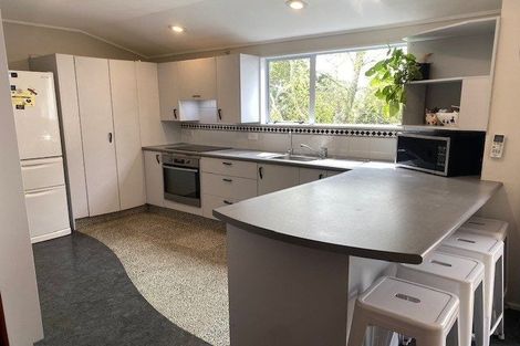 Photo of property in 91 Awanui Street, Merrilands, New Plymouth, 4312