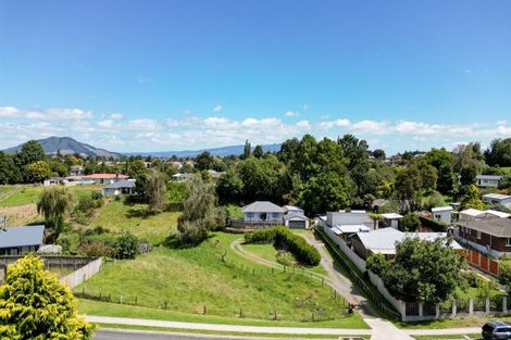 Photo of property in 38 Hall Street, Kihikihi, Te Awamutu, 3800