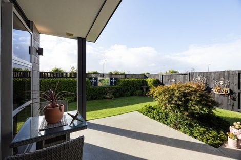 Photo of property in 35 Capper Crescent, Chartwell, Hamilton, 3210