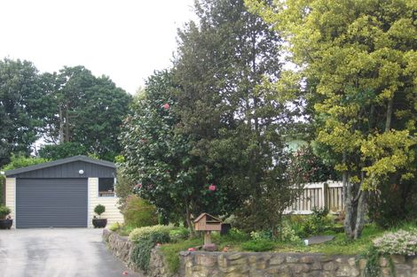 Photo of property in 11 David Street, Judea, Tauranga, 3110