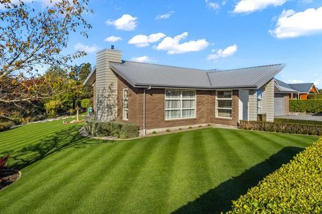 Photo of property in 6 Millibrook Place, Tinwald, Ashburton, 7700
