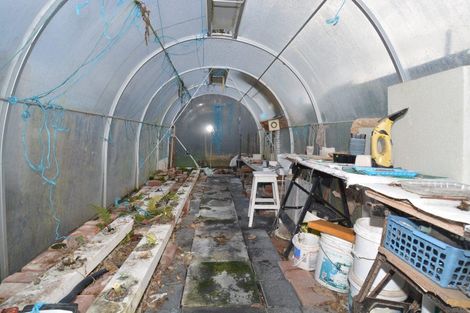 Photo of property in 117 Ythan Street, Appleby, Invercargill, 9812