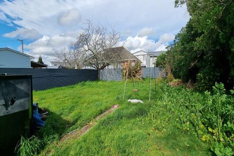 Photo of property in 6 Maire Street, Levin, 5510