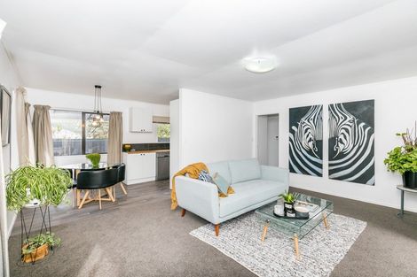 Photo of property in 11a Matai Street, Maeroa, Hamilton, 3200