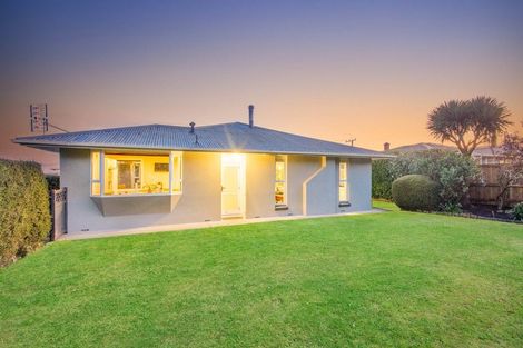 Photo of property in 20 Napier Street, Belleknowes, Dunedin, 9011