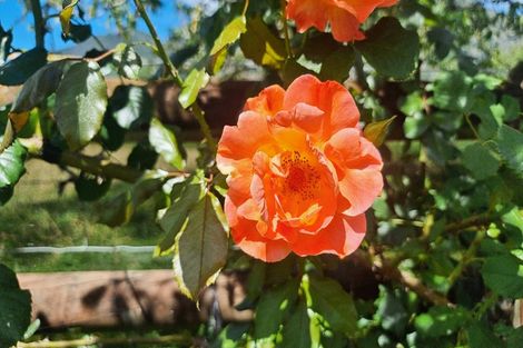 Photo of property in 92 Packard Road, Motupipi, Takaka, 7183