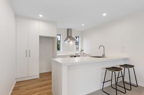 Photo of property in 25 Franklin Crescent, Lincoln, 7608