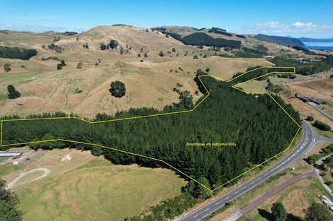 Photo of property in 487 Whangamata Road, Kinloch, Taupo, 3377