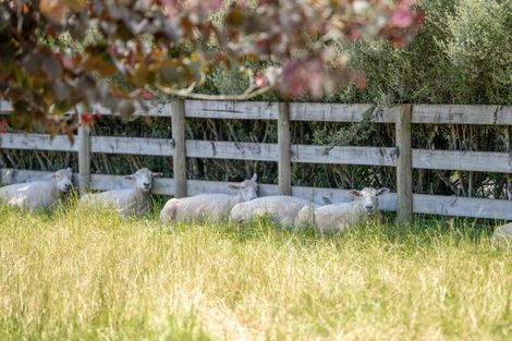 Photo of property in 44 Birchwood Lane, Tamahere, Hamilton, 3283