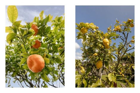 Photo of property in 30 Massey Street, Kawerau, 3127