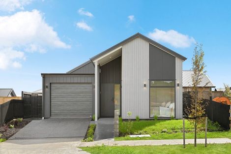 Photo of property in 17 Auburn Green, Peacocke, 3206