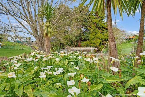 Photo of property in 43 Woodlands Road, Opotiki, 3122