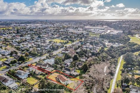 Photo of property in 46 Chislehurst Street, Henderson, Auckland, 0612