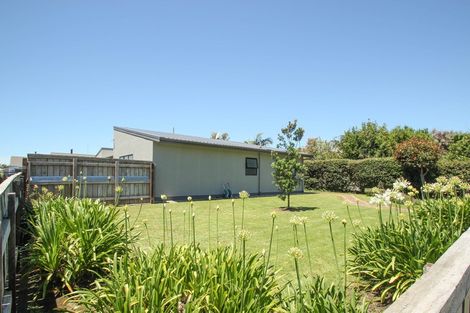 Photo of property in 1013 Lane Street, Mahora, Hastings, 4120