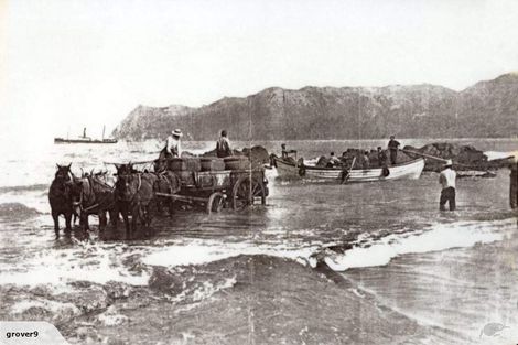 Photo of property in 502 Waipiro Road, Waipiro, Tokomaru Bay, 4079