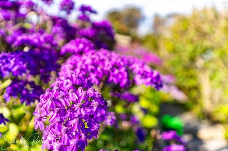 Photo of property in 10 Oxford Street, Whakapirau, Maungaturoto, 0583